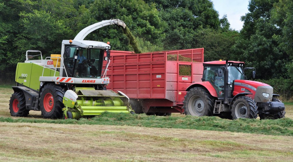 Image source: Shane Casey