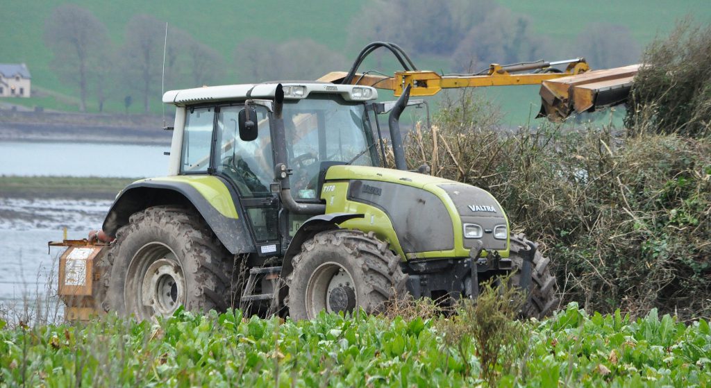 Image source: Shane Casey