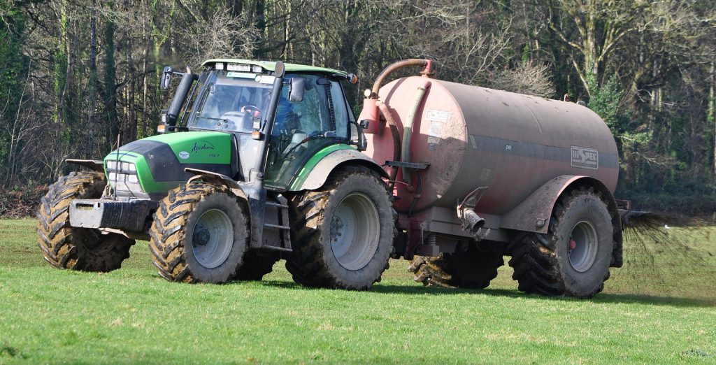 Image source: Shane Casey