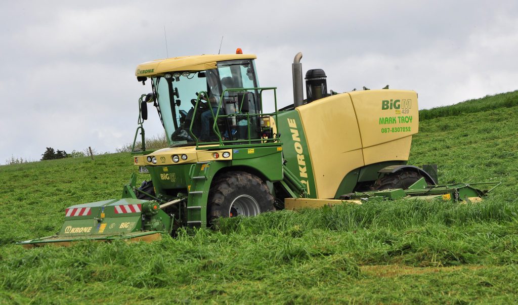 Image source: Shane Casey