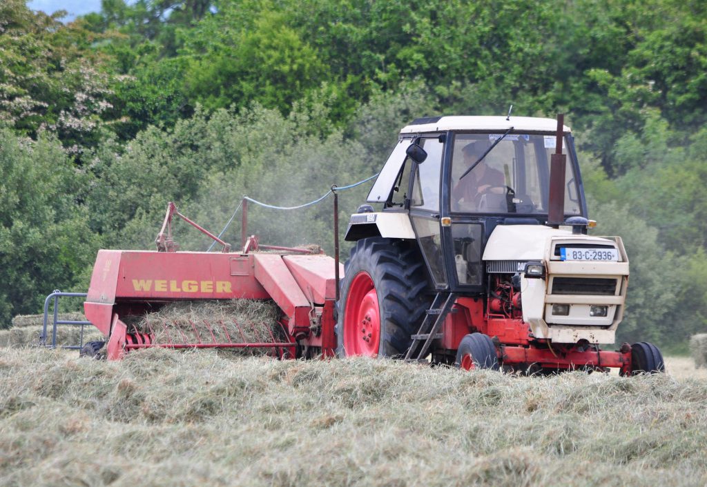 Image source: Shane Casey