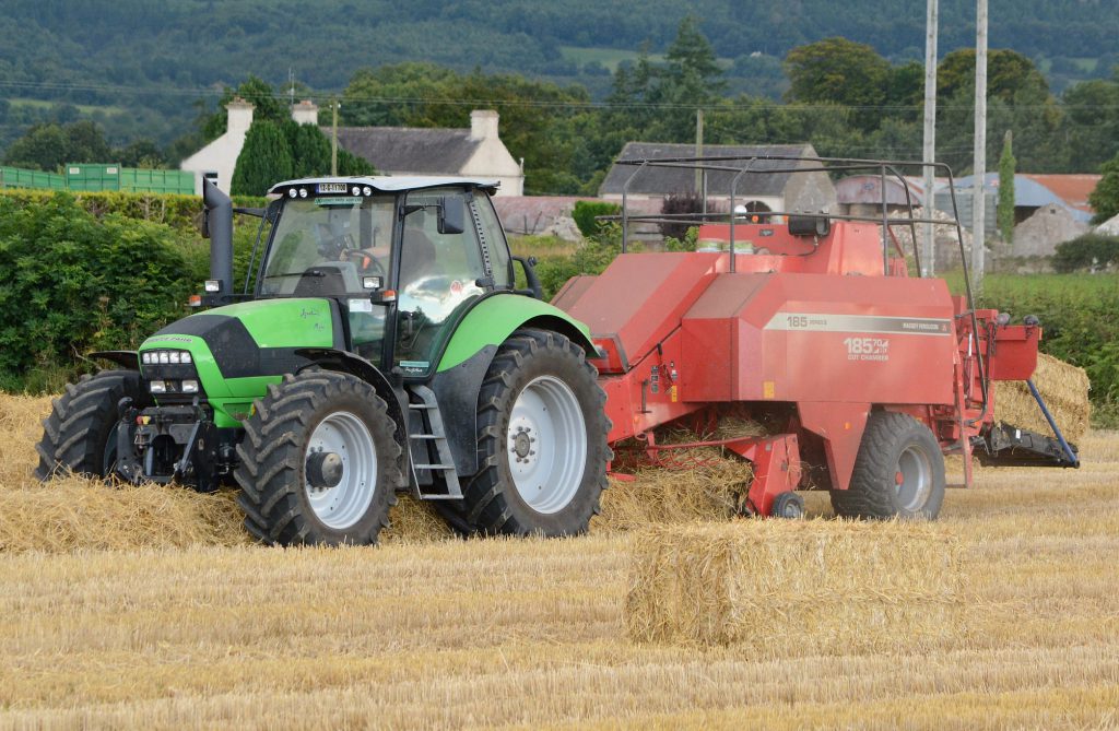 Image source: Shane Casey