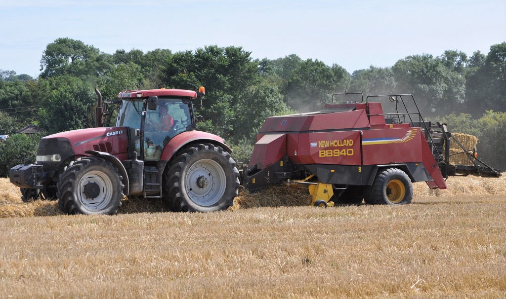 Image source: Shane Casey