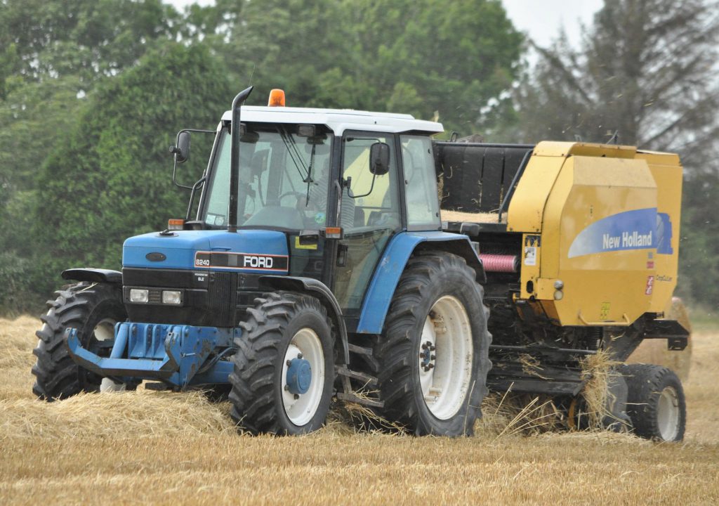 Image source: Shane Casey