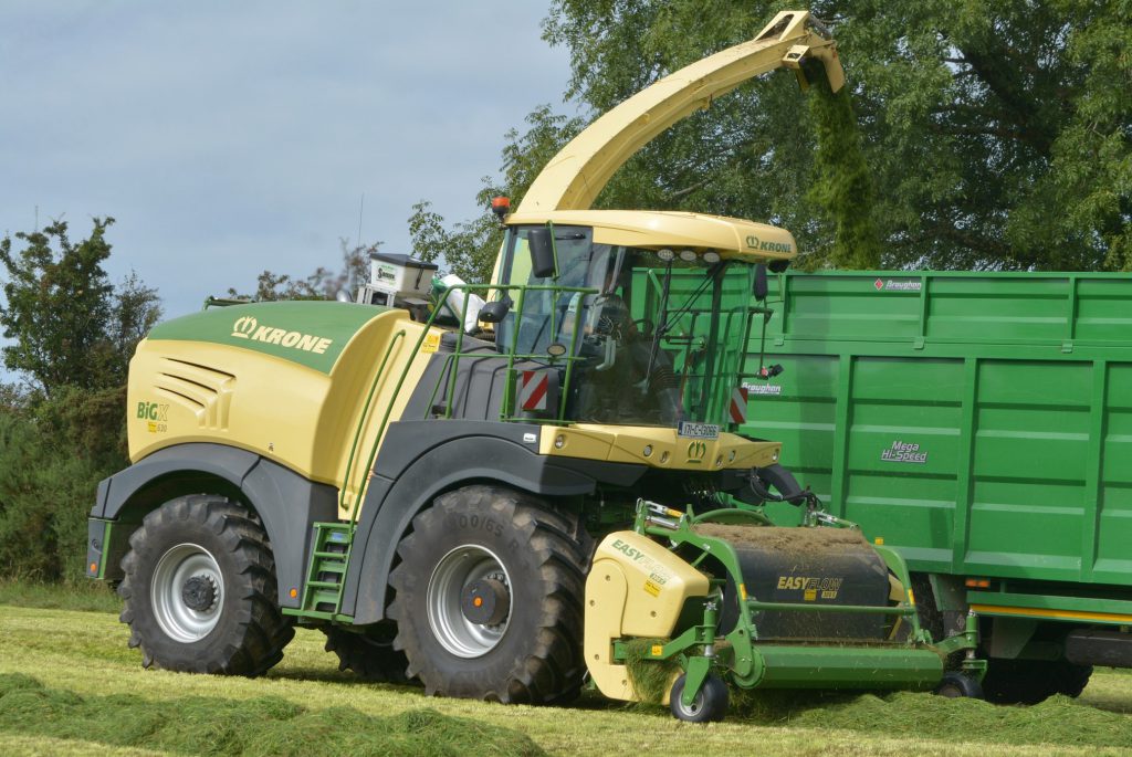 Image source: Shane Casey