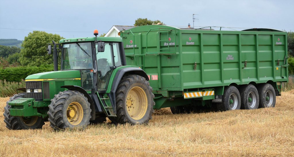 Image source: Shane Casey