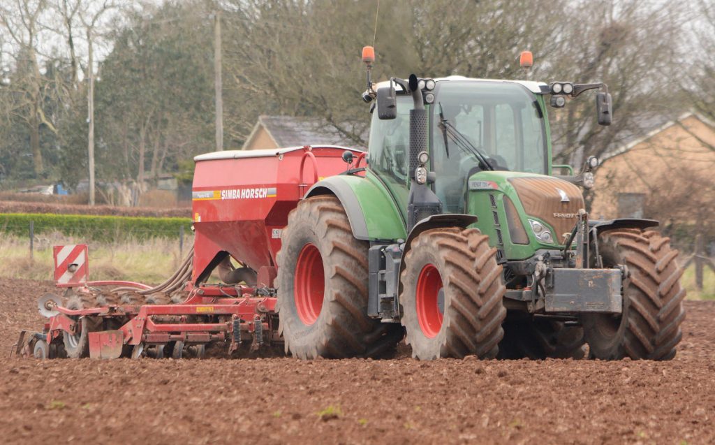 Image source: Shane Casey