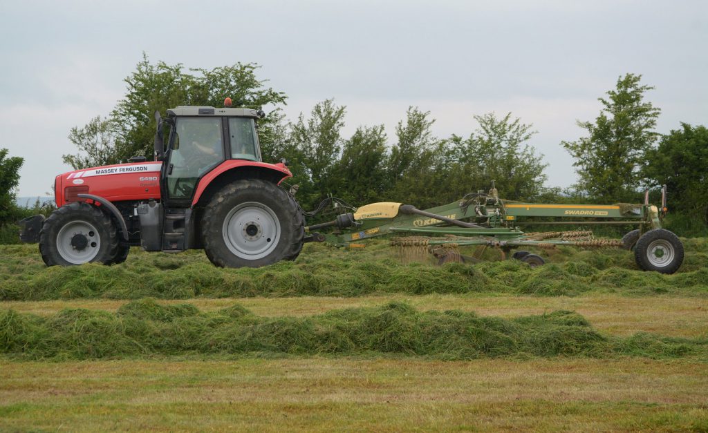 Image source: Shane Casey