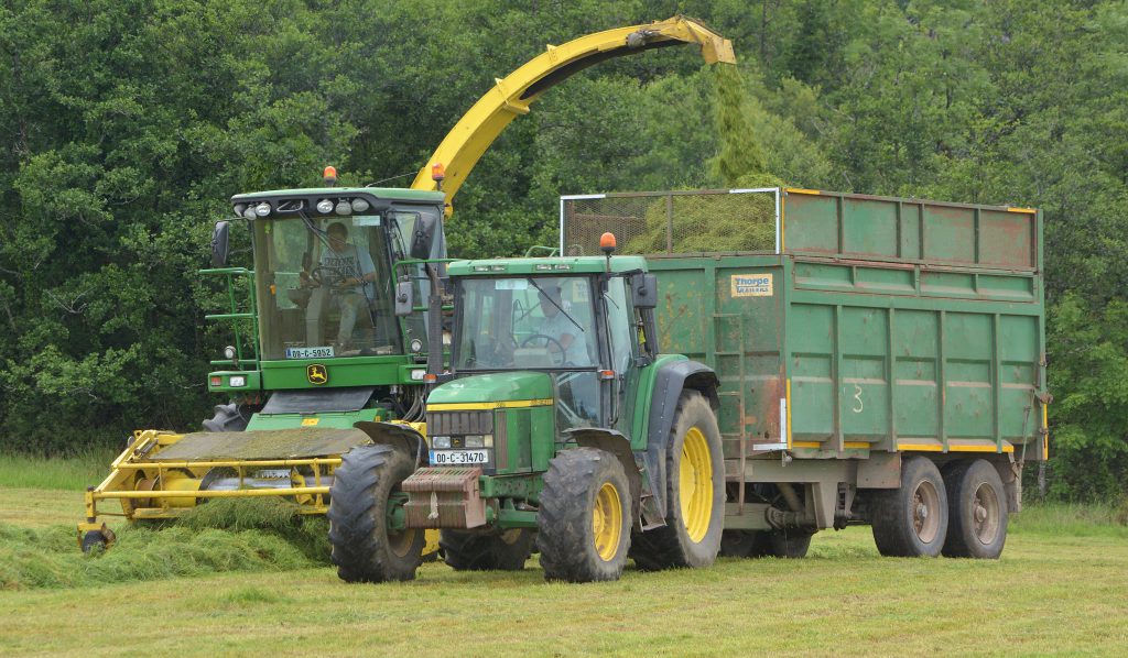 Image source: Shane Casey