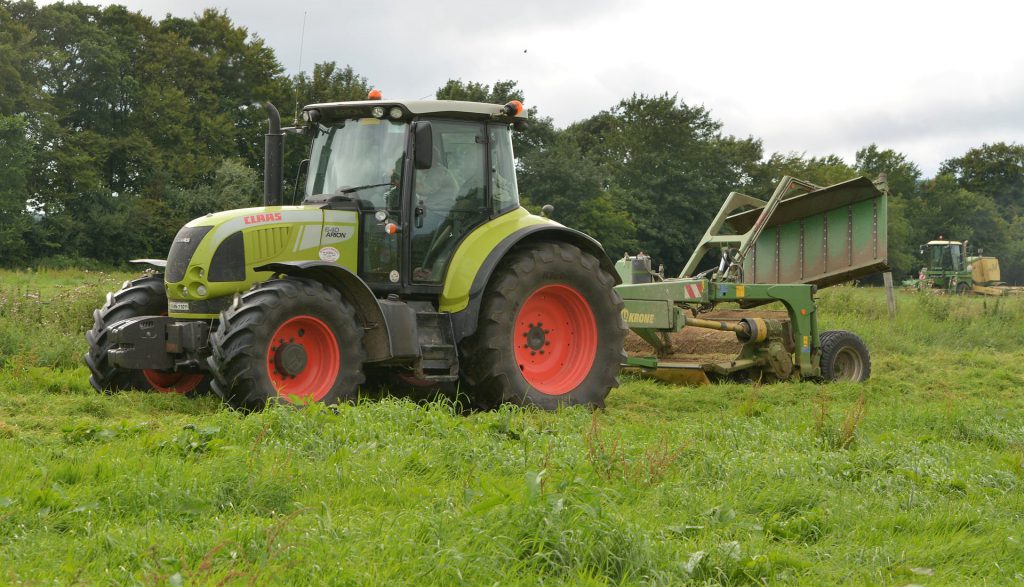 Image source: Shane Casey