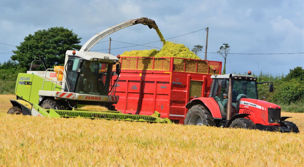 Image source: Shane Casey