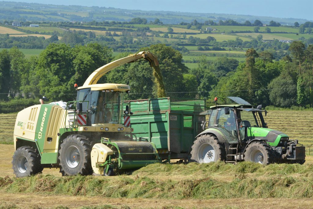 Image source: Shane Casey