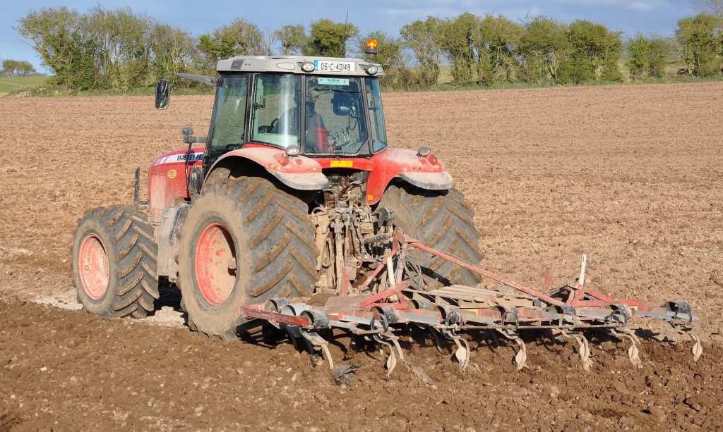 Image source: Shane Casey