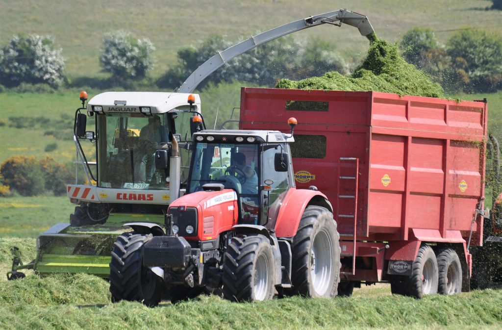 Image source: Shane Casey