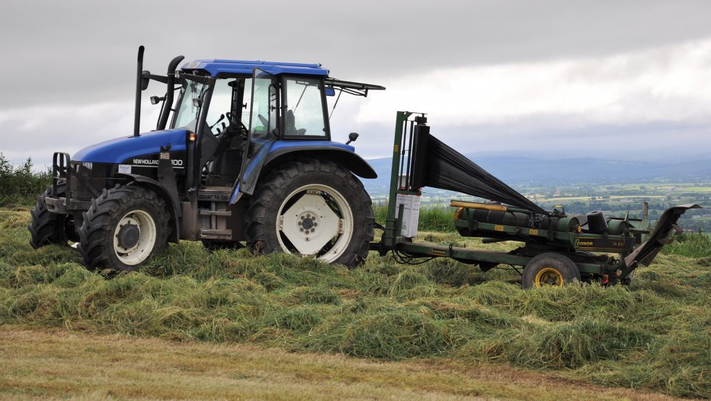 Image source: Shane Casey