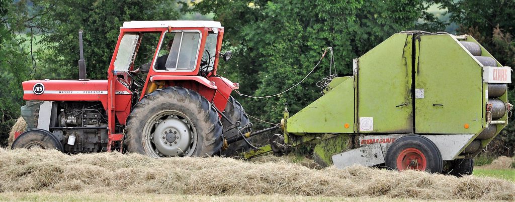 Image source: Shane Casey