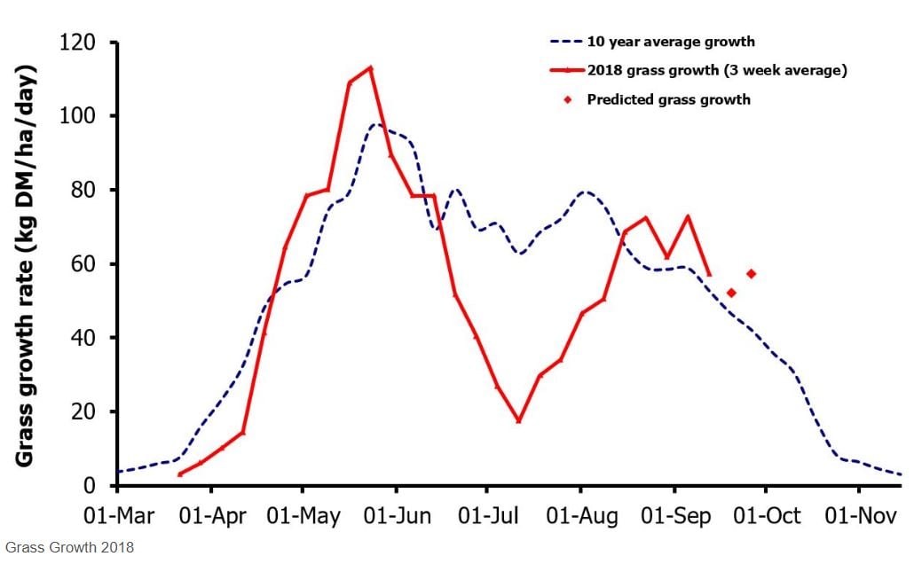 The GrassCheck 2018 graph shows clearly the impact of the summer’s drought on grass yields. At the time the forecasts helped farmers plan supplementary feed