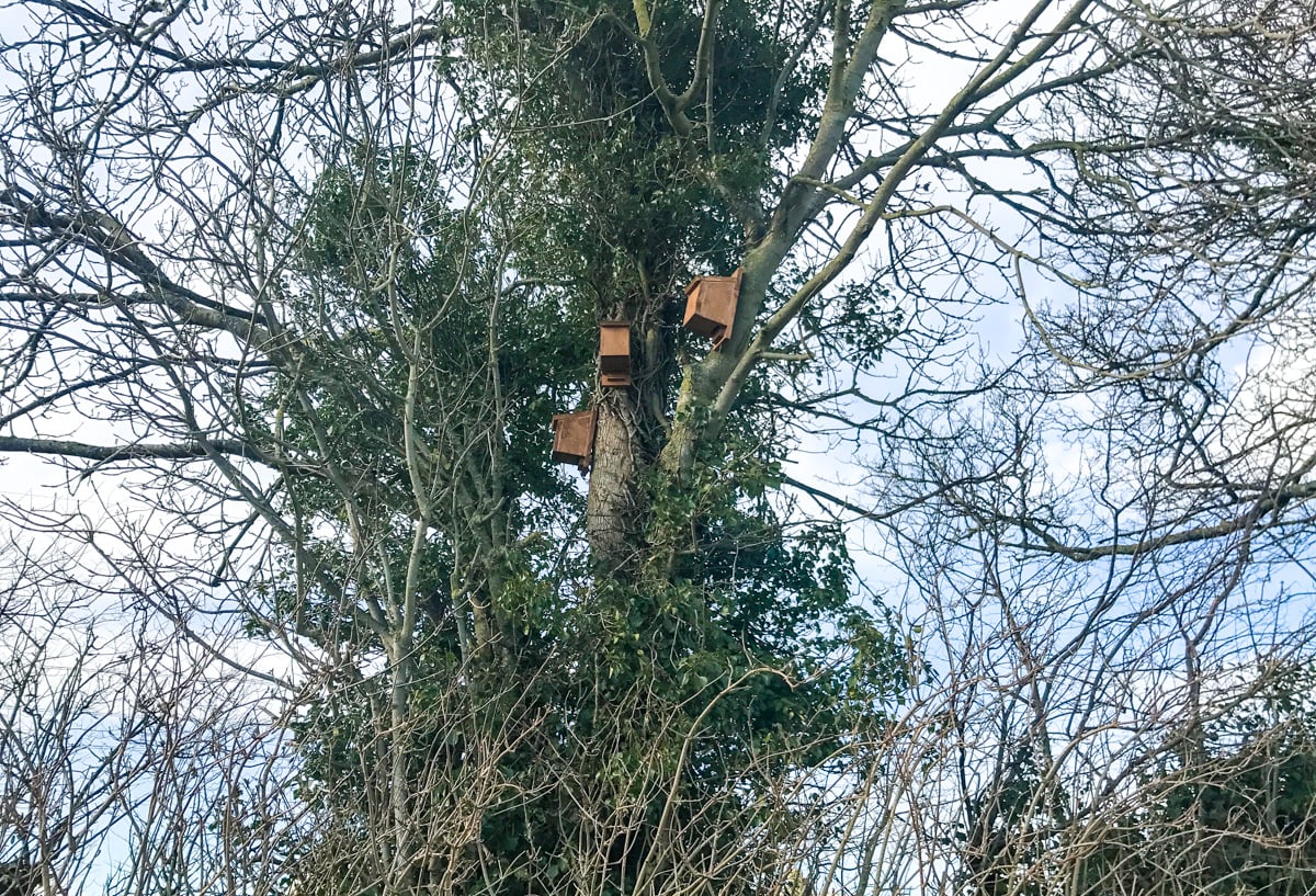 Bird boxes on the farm