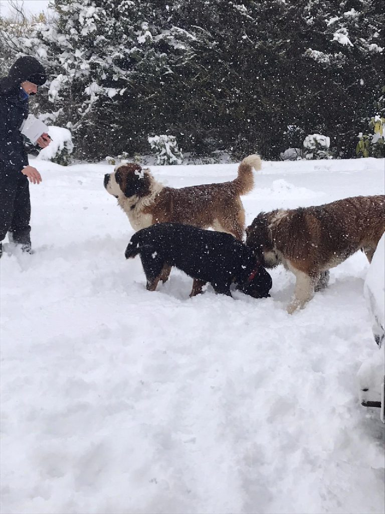 Image source: Michael Mc Cormack