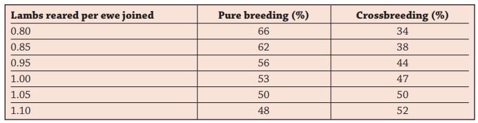 A guideline for the percentage of a flock that is required for producing replacements. Source: Teagasc