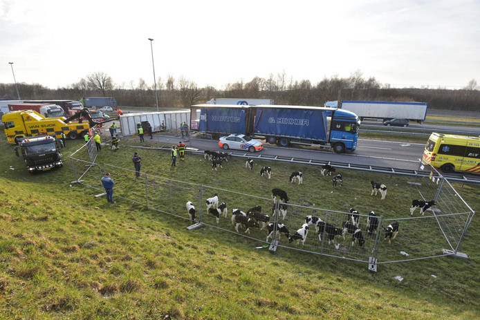 Image source: BN DeStem; Tom van der Put; Maric Media