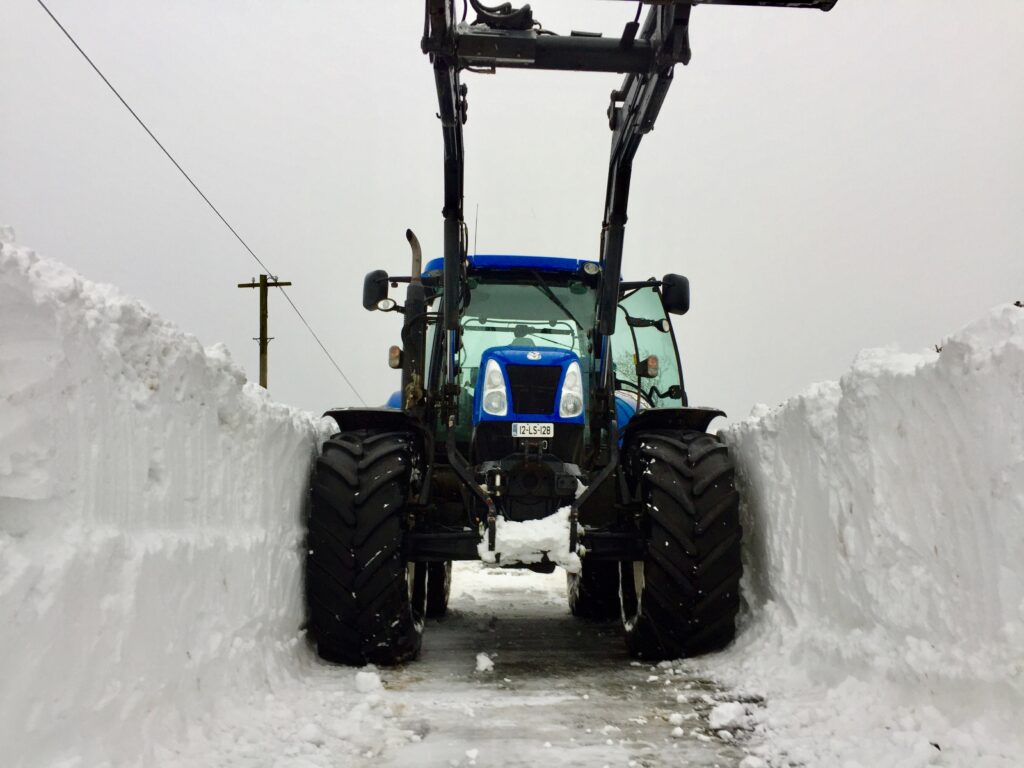 Image source: Colm Fingleton, Ratheniska, Co. Laois