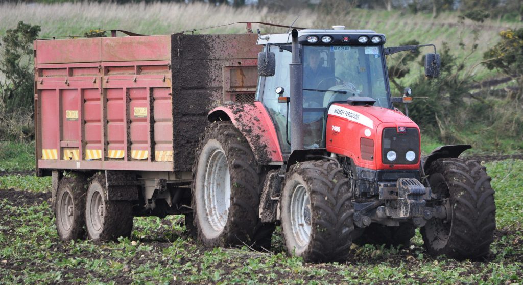 Image source: Shane Casey