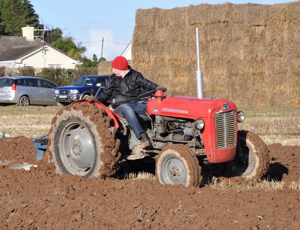 Image source: Shane Casey