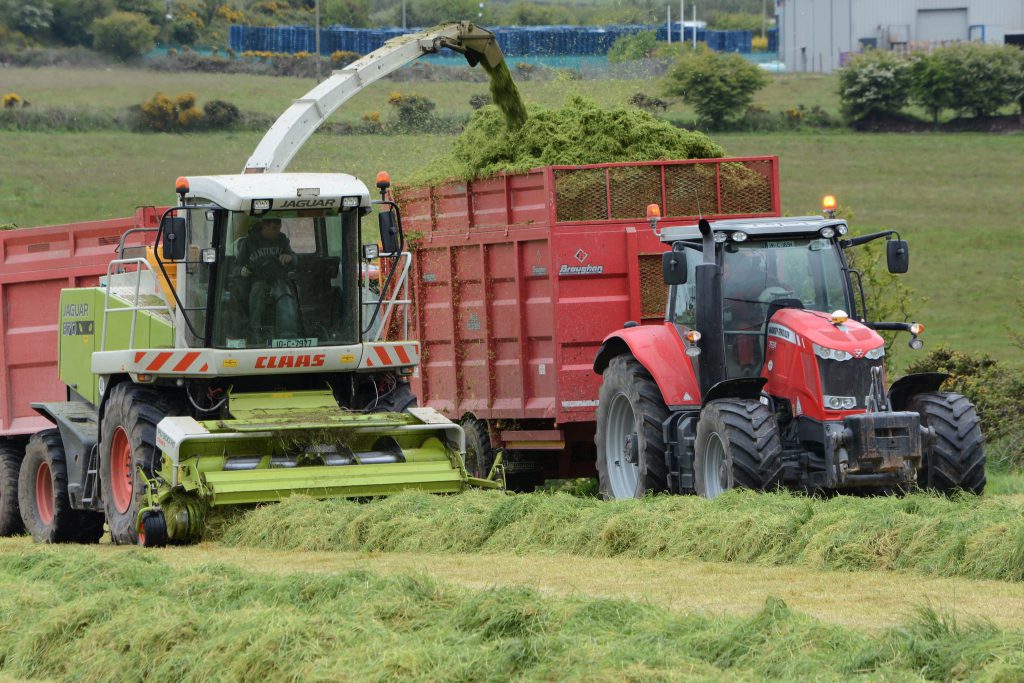 Image source: Shane Casey