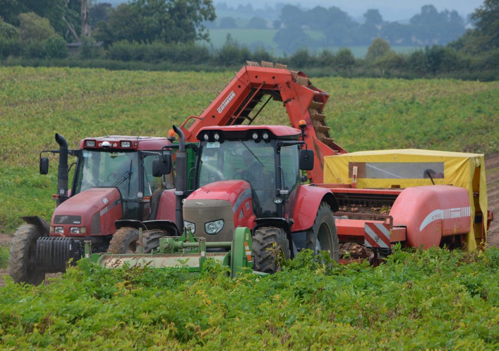 A recent-generation McCormick tractor in action. Image source: Shane Casey