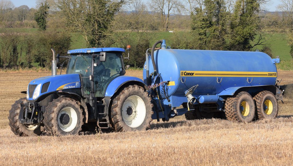 Image source: Shane Casey