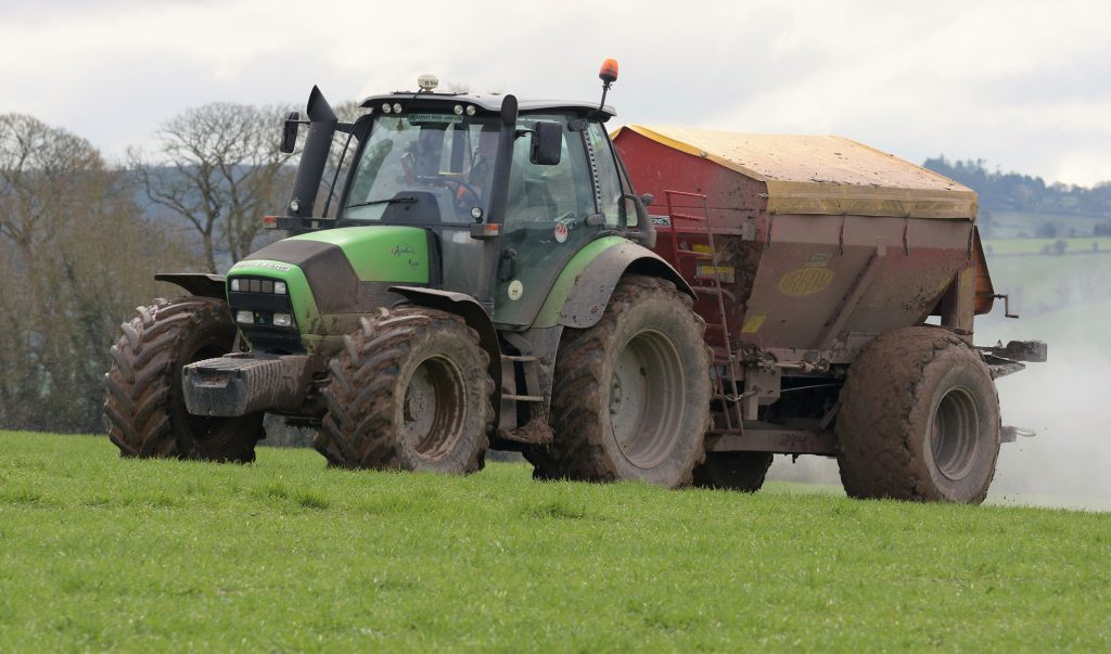 Image source: Shane Casey