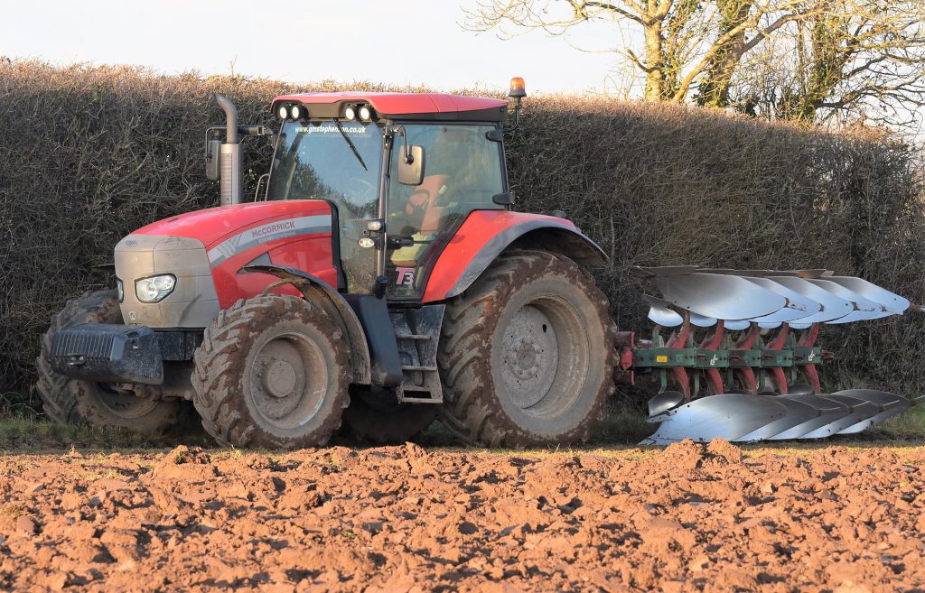 Image source: Shane Casey