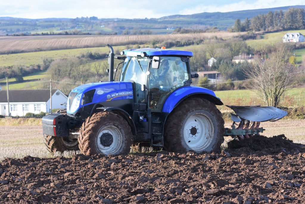 Image source: Shane Casey