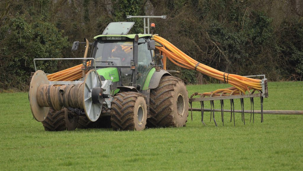 Image source: Shane Casey