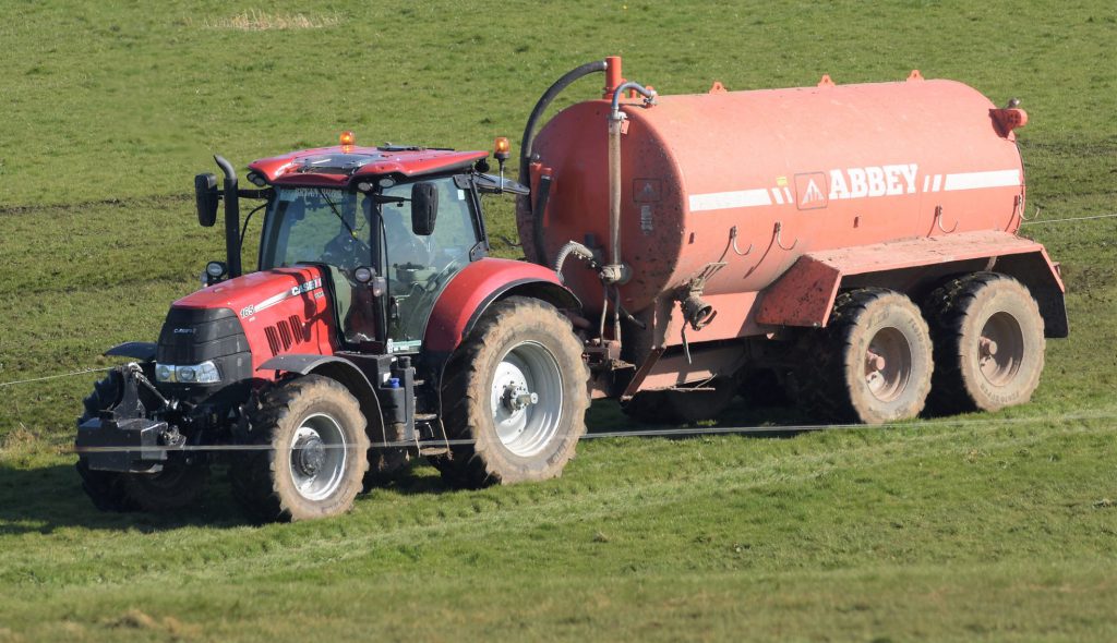 Image source: Shane Casey