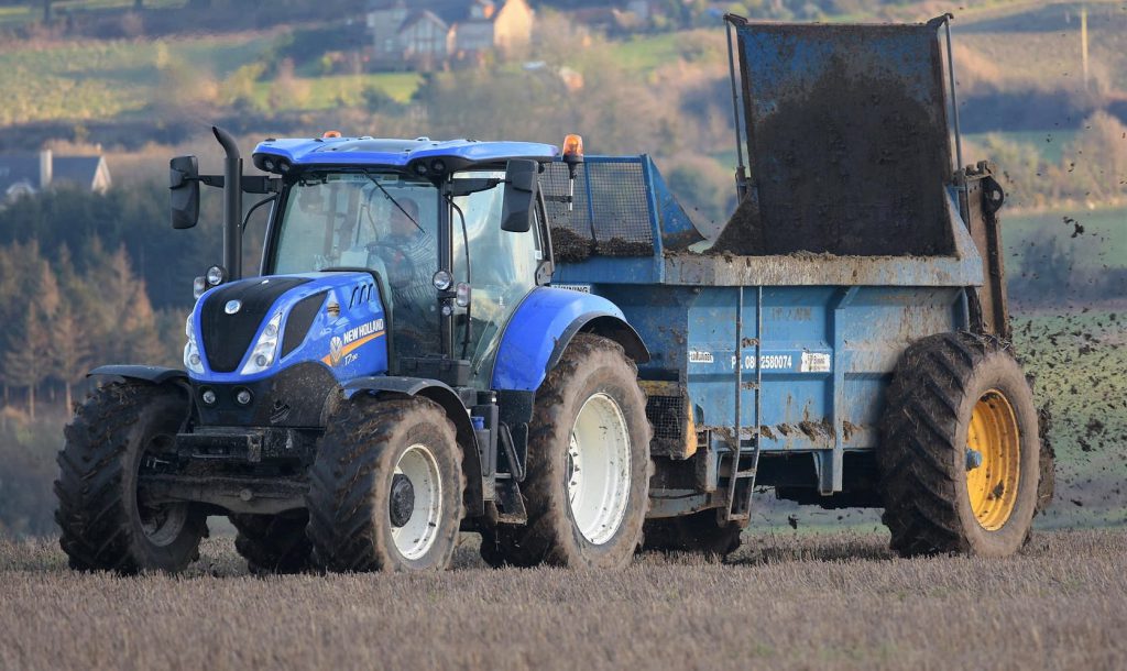 Image source: Shane Casey