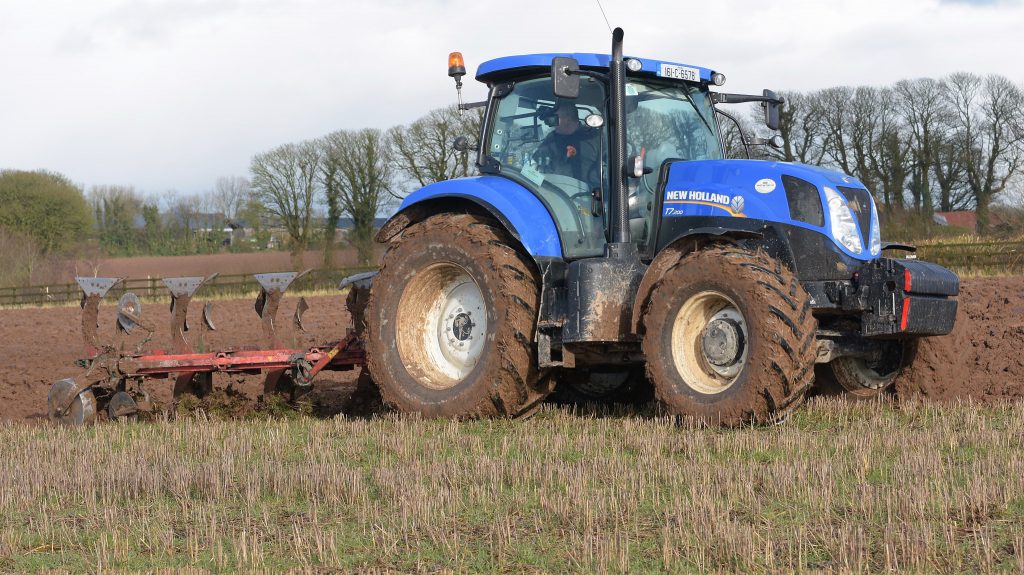 Image source: Shane Casey