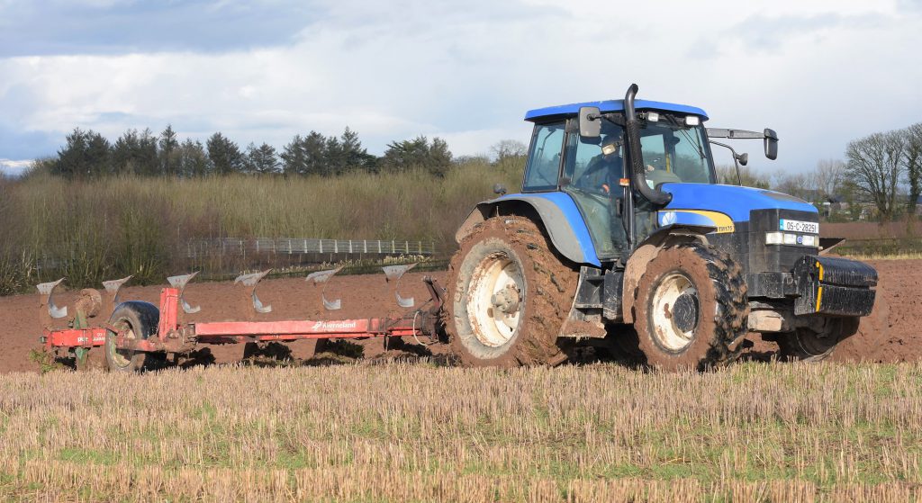 Image source: Shane Casey