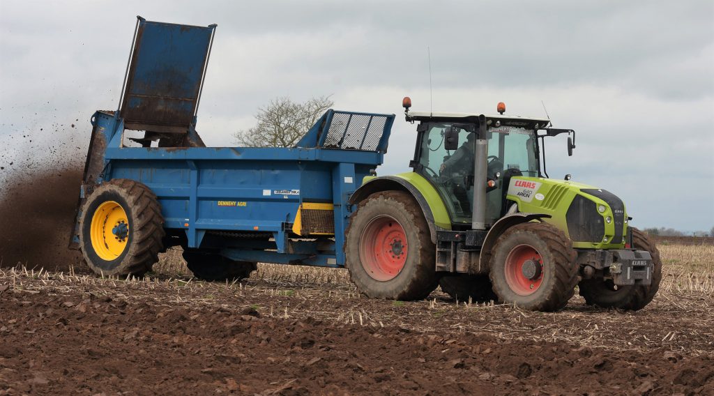 Image source: Shane Casey