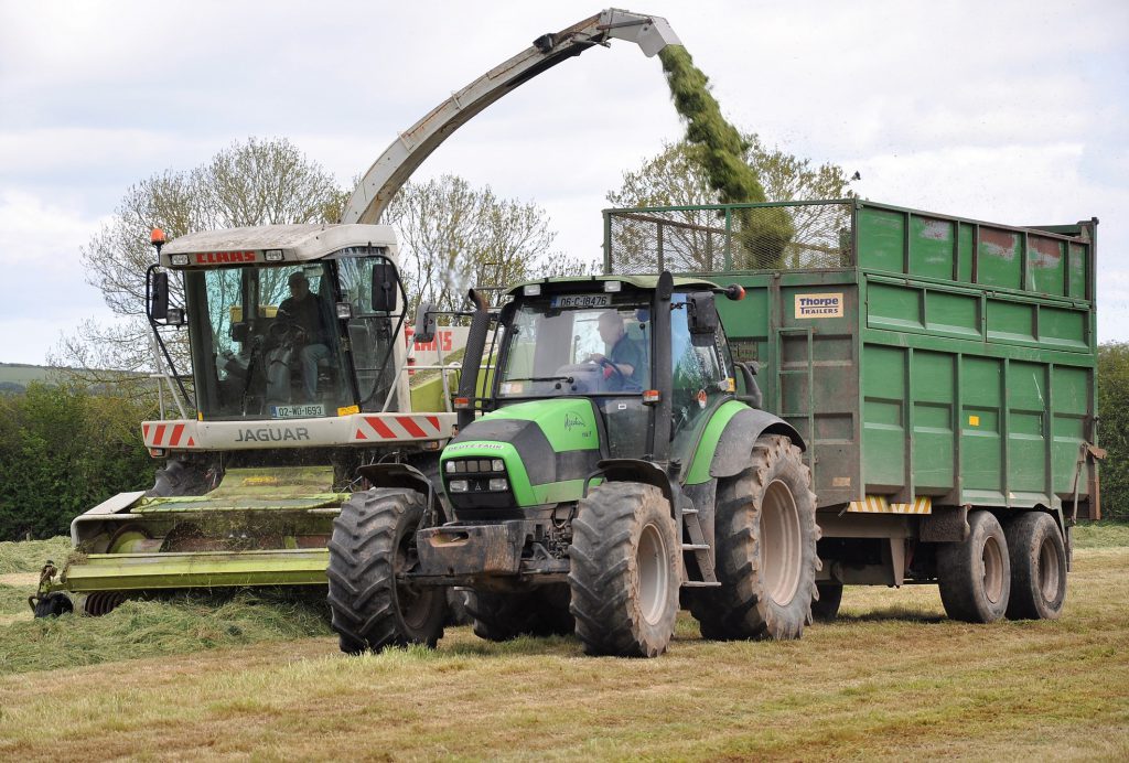 Image source: Shane Casey