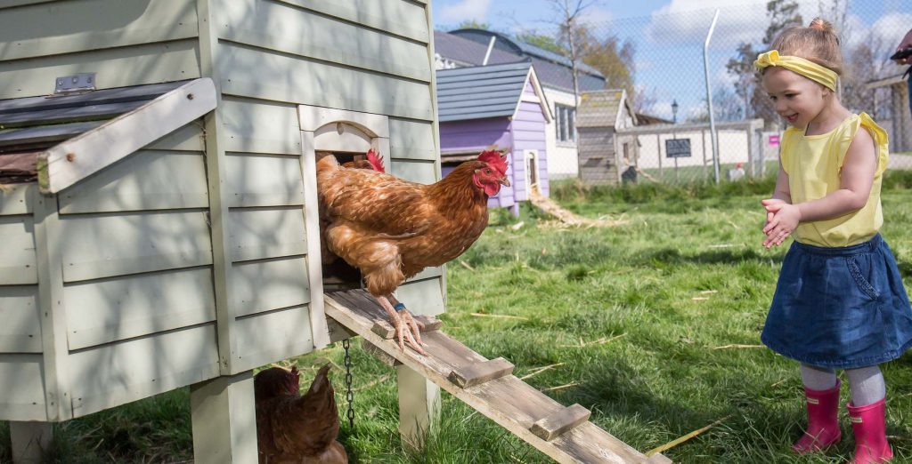Caoimhe O’Shea (age 3)