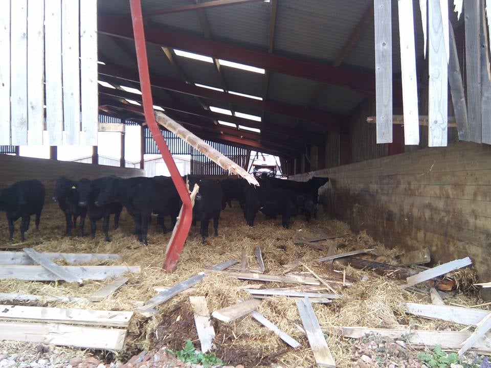 Image source: Jason Hutchings