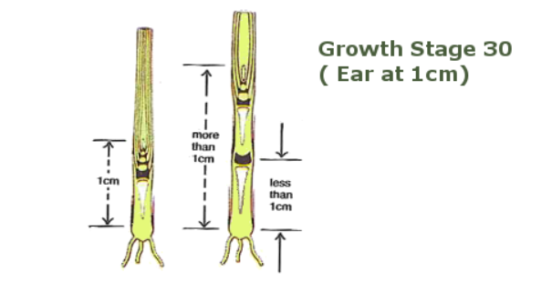 Image source: Teagasc