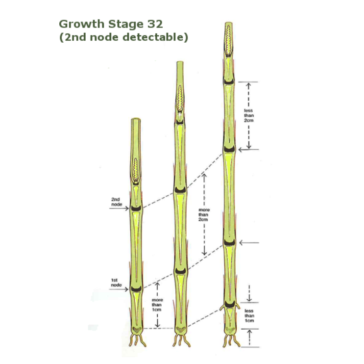 Image source: Teagasc