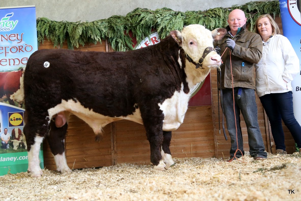 Padraig McGrath and wife Catherine with Kye Harry 753