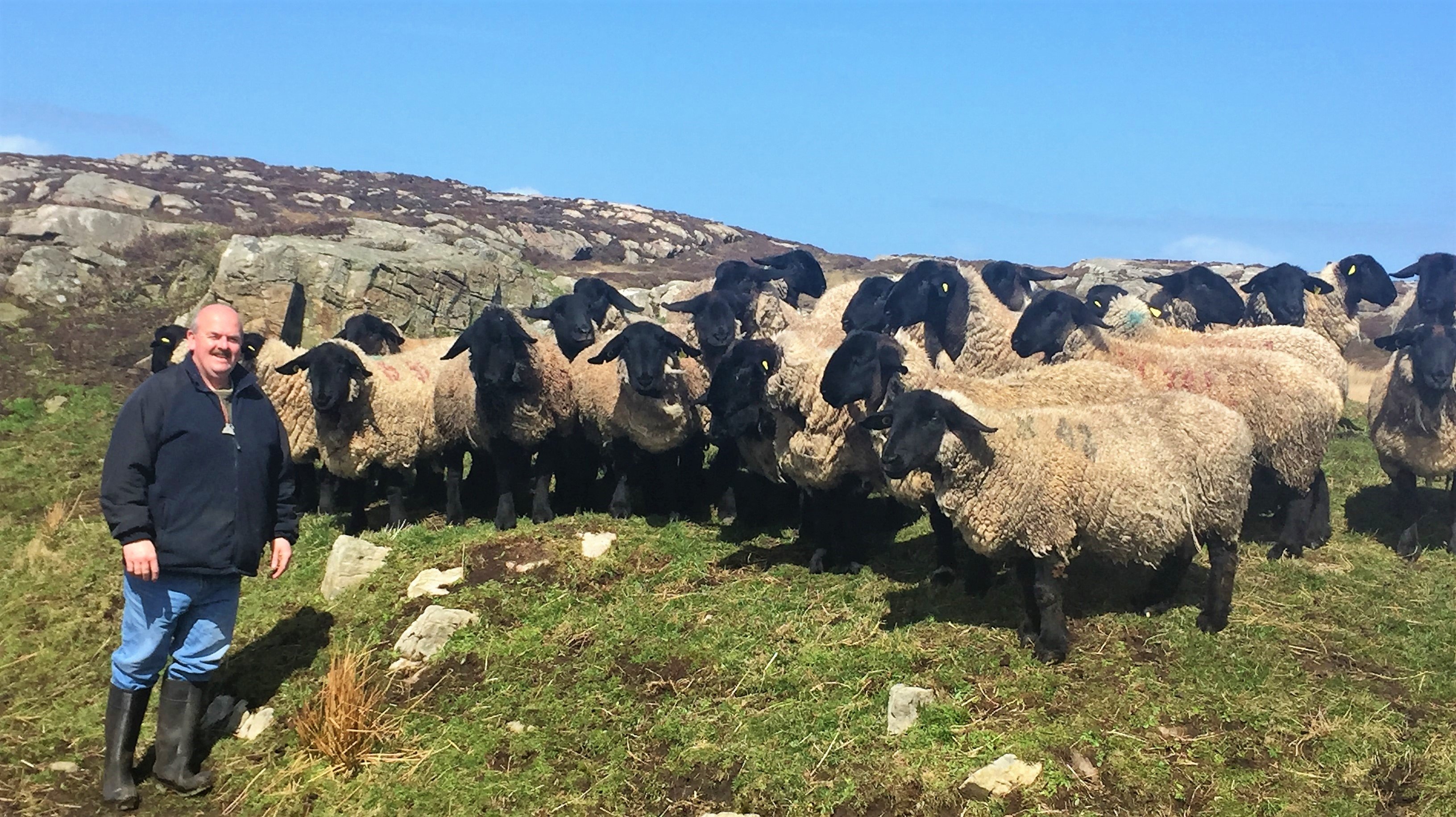 Martin pictured with some of the ewes on a ‘drying-off paddock’ on the farm in Malin Head, Co. Donegal