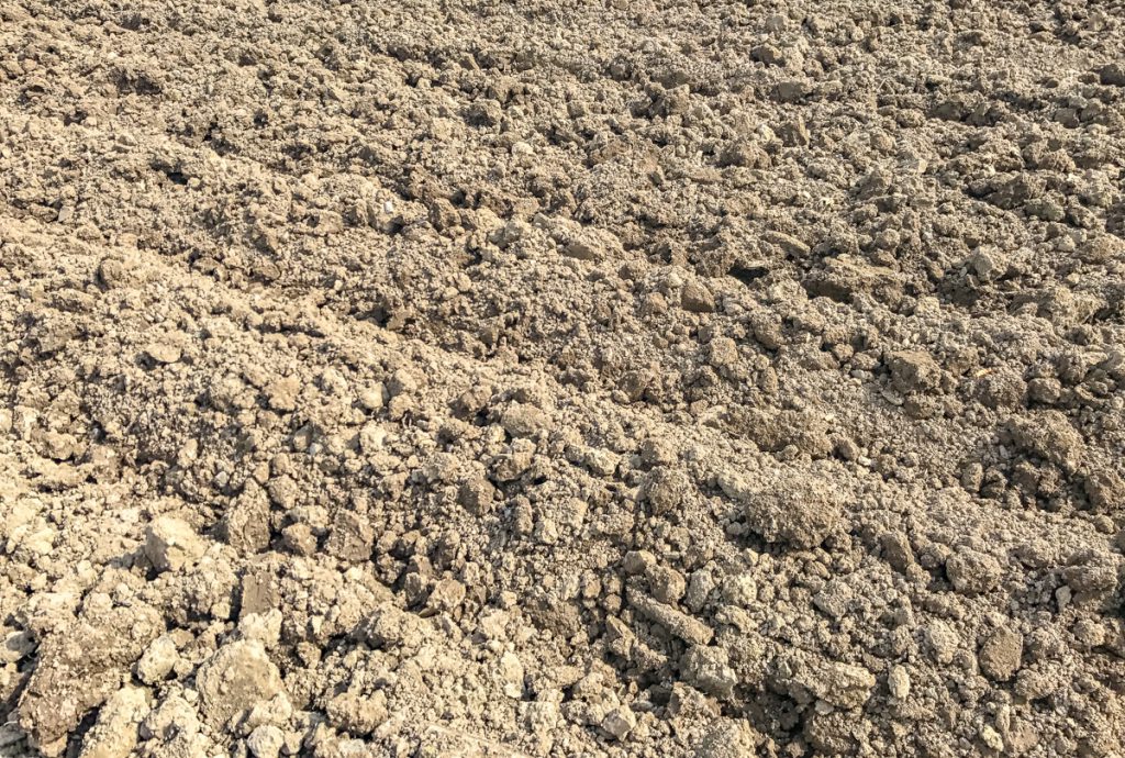 A grubber ran over the ploughed ground before sowing