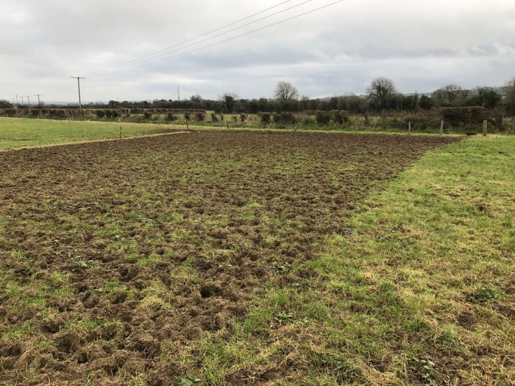 Grass that has been poached