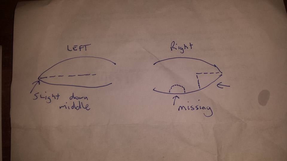 The sheep had distinctive ear markings. Image source: Facebook